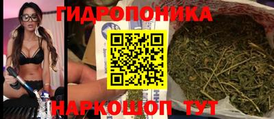 гашик Боровичи