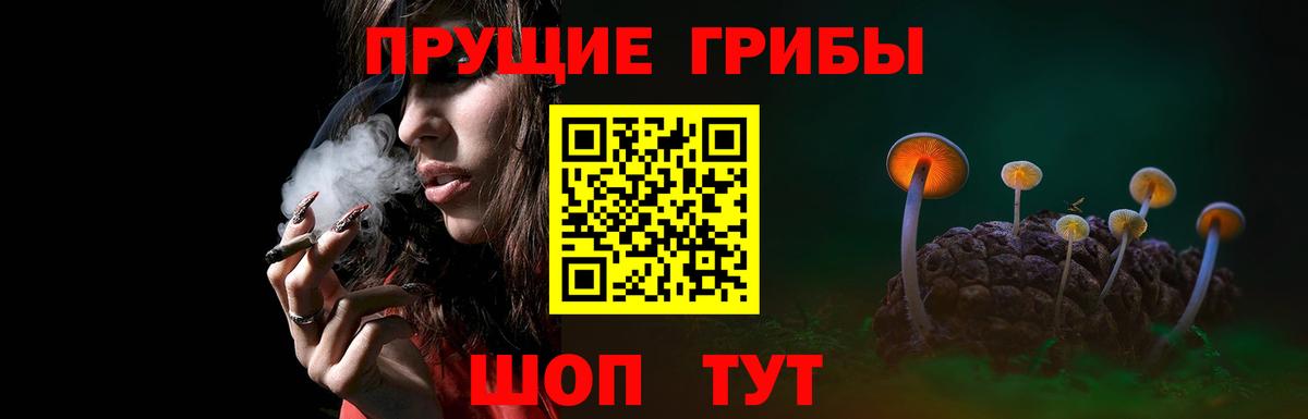 Псилоцибиновые грибы прущие грибы  Галлюциногенные грибы мицелий  Борисоглебск  Вход с VPN 